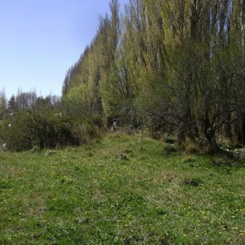 LOTES - LOS ANTIGUOS, SANTA CRUZ