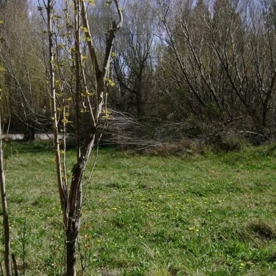 LOTES - LOS ANTIGUOS, SANTA CRUZ