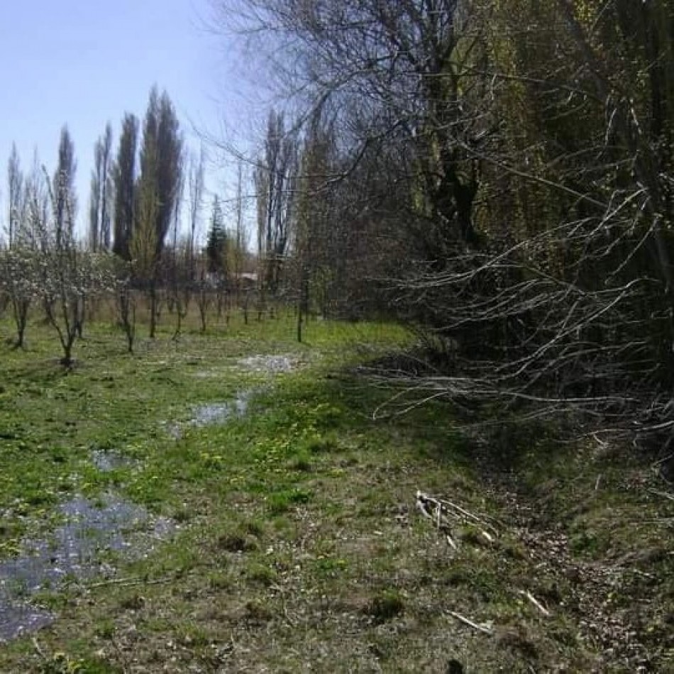LOTES - LOS ANTIGUOS, SANTA CRUZ