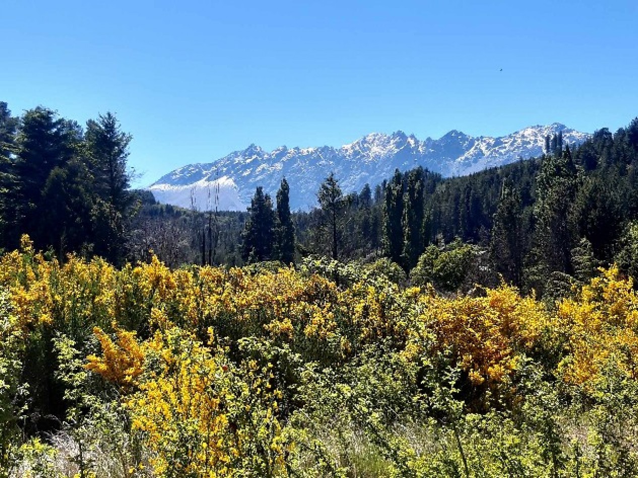 LOTES - LAGO PUELO