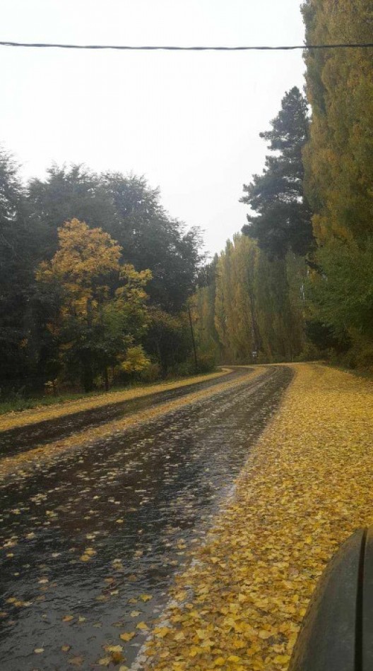 LOTES - LAGO PUELO