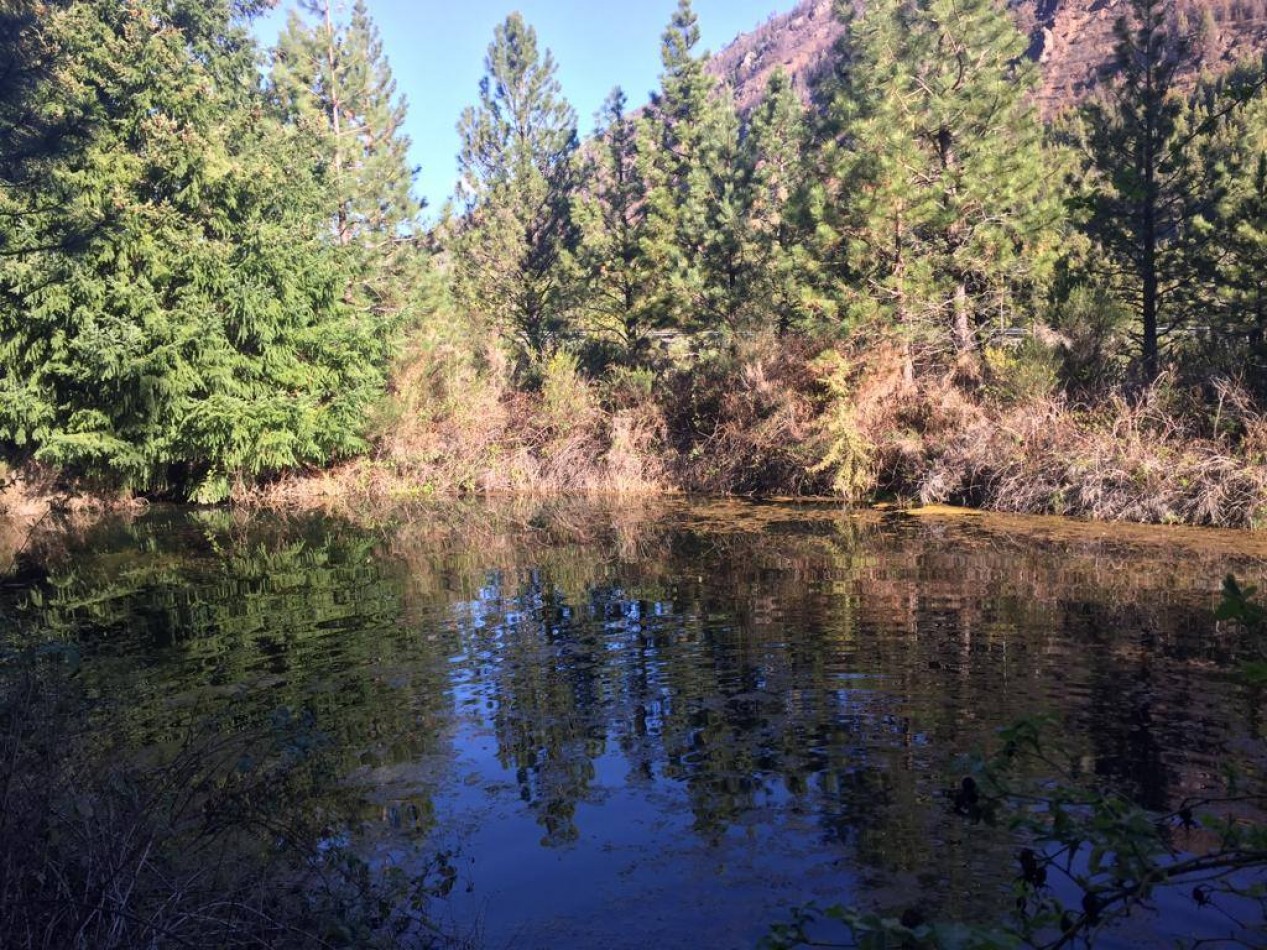 CHACRA - EL BOLSON, RIO NEGRO