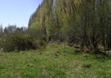 LOTES - LOS ANTIGUOS, SANTA CRUZ