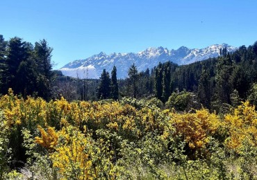 LOTES - LAGO PUELO